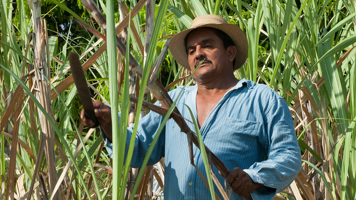 Agricultura de Panamá